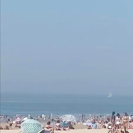 Sea View - Royal Ascot Ostend