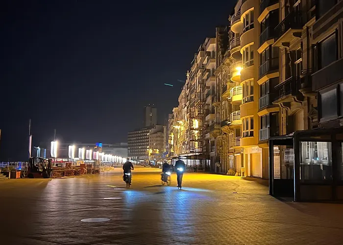 公寓 Sea View - Royal Ascot 奥斯滕德